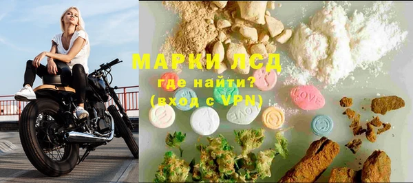 прущие грибы Семикаракорск
