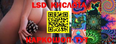 альфа пвп Заводоуковск