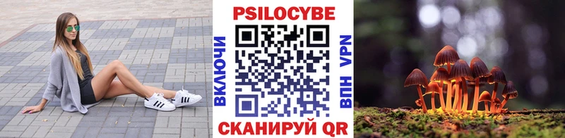 Псилоцибиновые грибы мицелий  закладка  Горно-Алтайск 