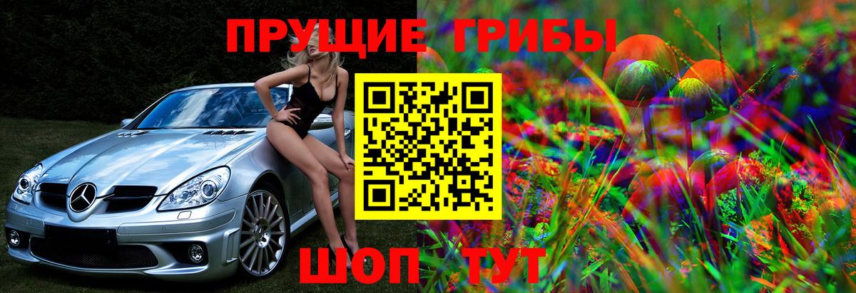 Псилоцибиновые грибы MAGIC MUSHROOMS Горно-Алтайск