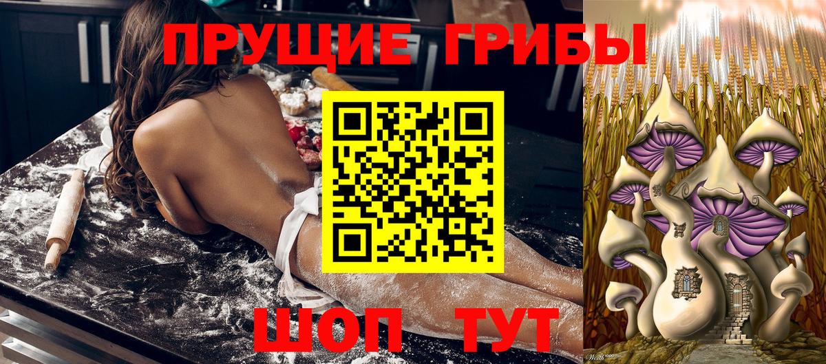 Горно-Алтайск  Галлюциногенные грибы Psilocybine cubensis  Вход с VPN 